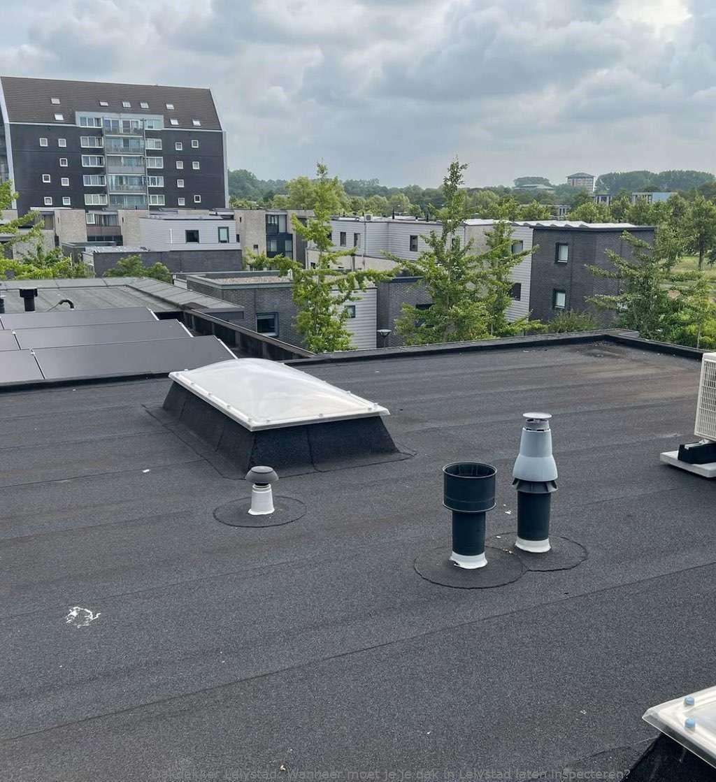 Dak Laten Inspecteren Lelystad