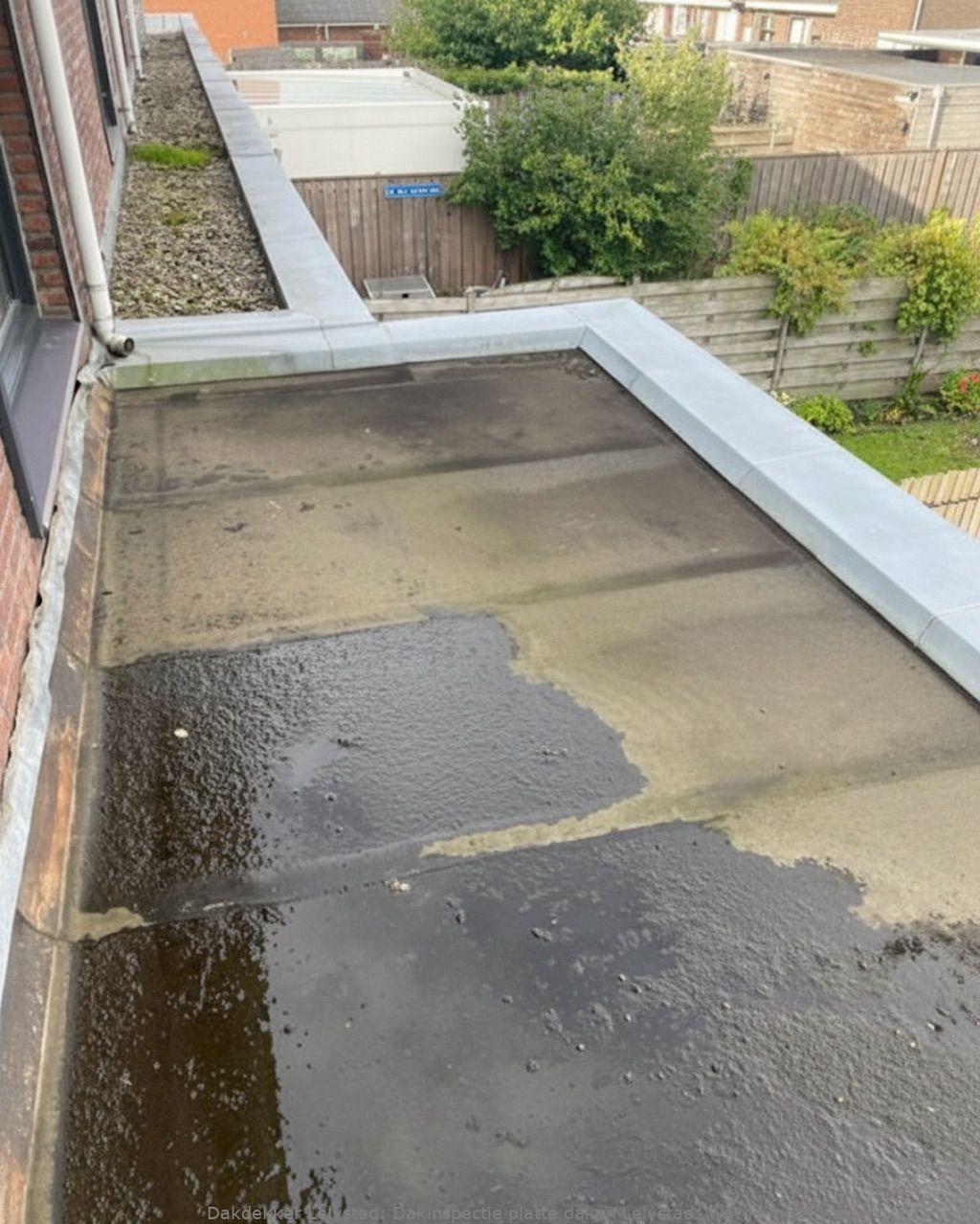 Dakinspectie Platte Daken Lelystad