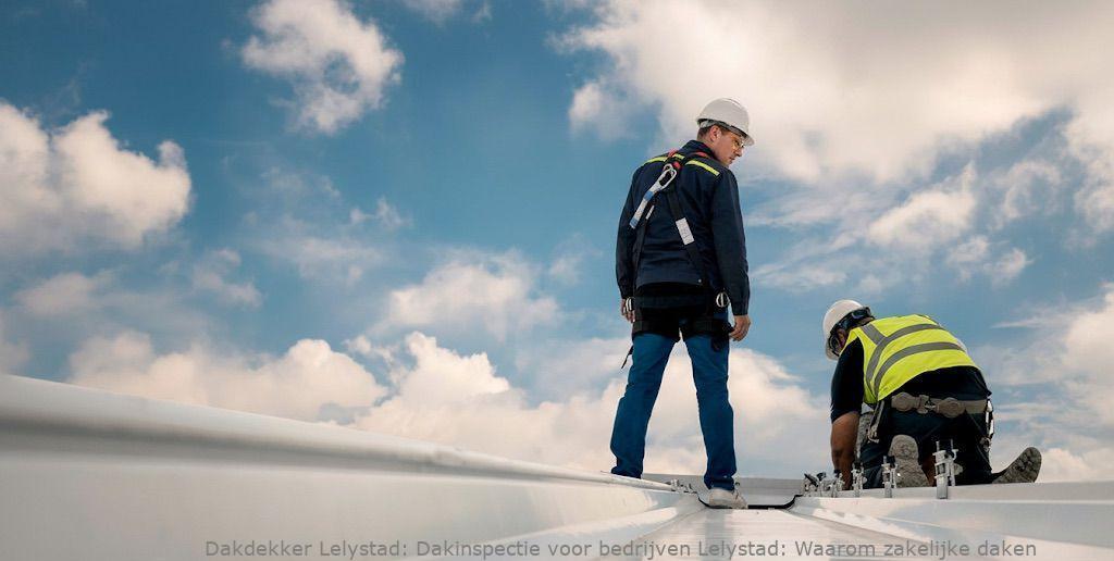 Dakinspectie Voor Bedrijven Lelystad