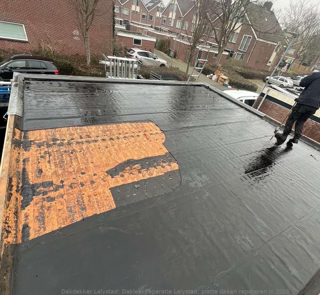 Dakleer Reparatie Lelystad