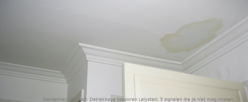 Daklekkage Opsporen Lelystad 1
