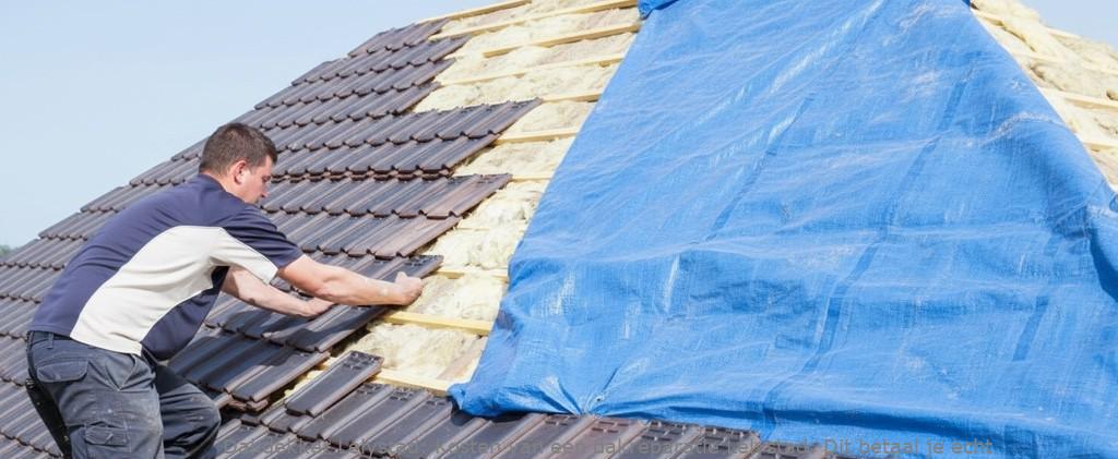 Kosten Van Een Dakreparatie Lelystad
