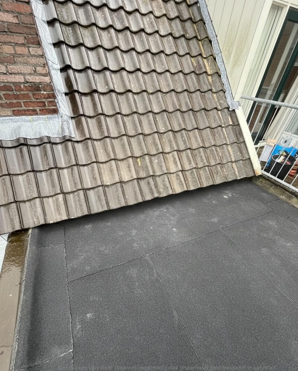Onderhoud Dak Lelystad