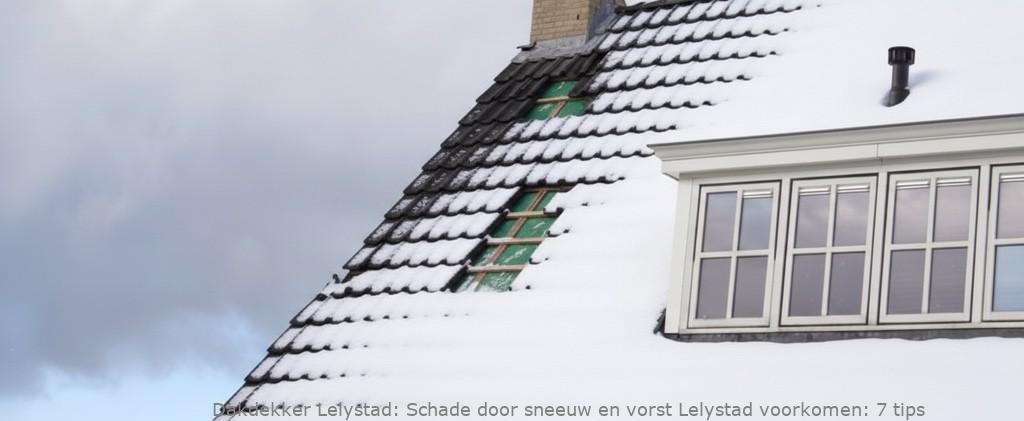 Schade Door Sneeuw En Vorst Lelystad