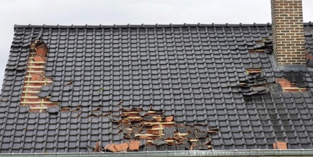 Veelgemaakte Fouten Bij Dakreparatie Lelystad