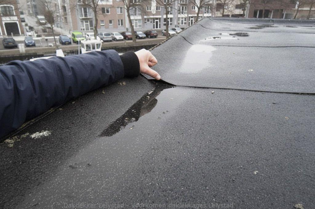 Voorkomen Daklekkages Lelystad